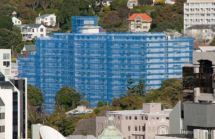 New chief executive, new direction for SARNZ