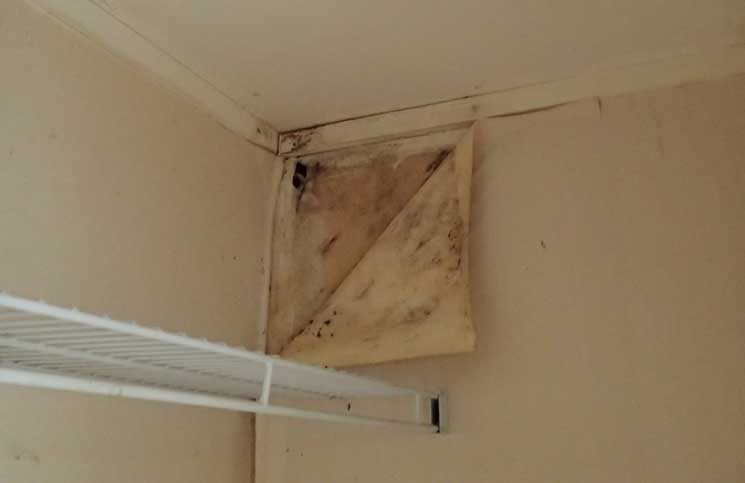 Leaky buildings still a major issue
