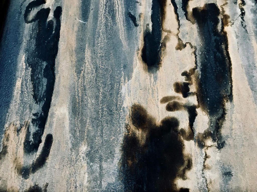 What Is Household Mould and How Can It Affect Your Home? 