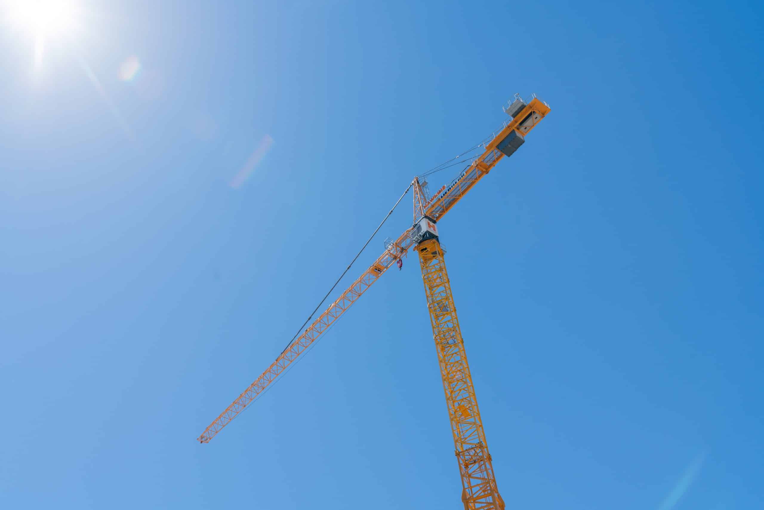 Year in Review: Institute of Building Reflects on 2024