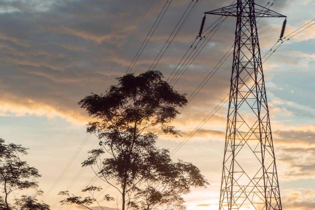 The Risk of Tree Falls on Power Lines