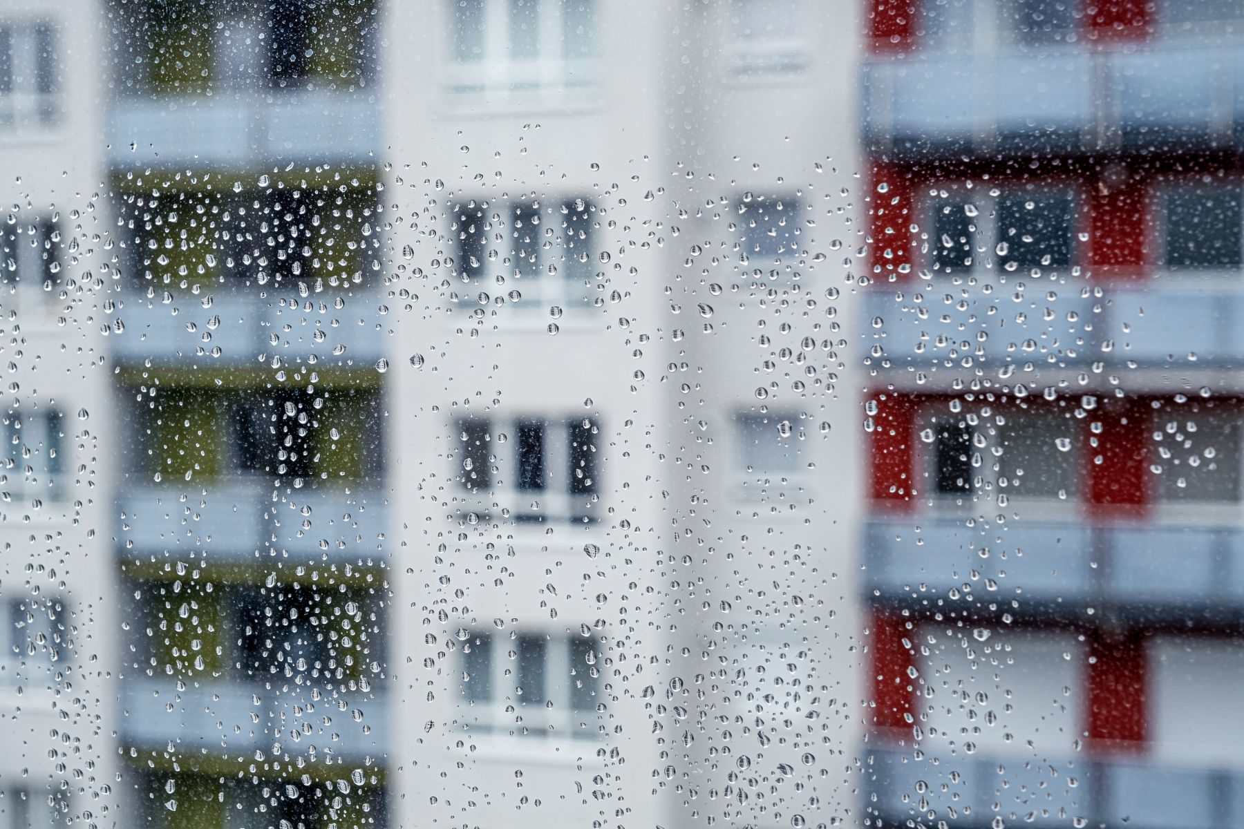 Learning from a Leaky Past